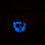 Sugar Skull- glow in the dark