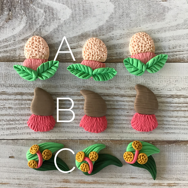 Australiana Native Floral Clays